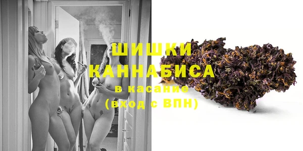 стаф Коряжма