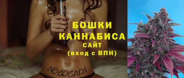 стаф Коряжма