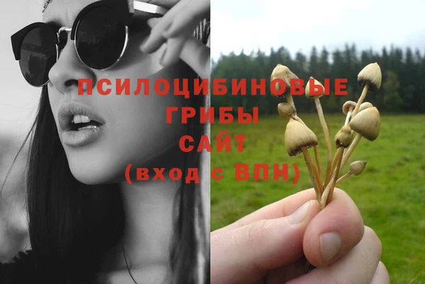 mdma Краснослободск