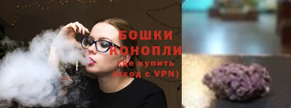 стаф Коряжма