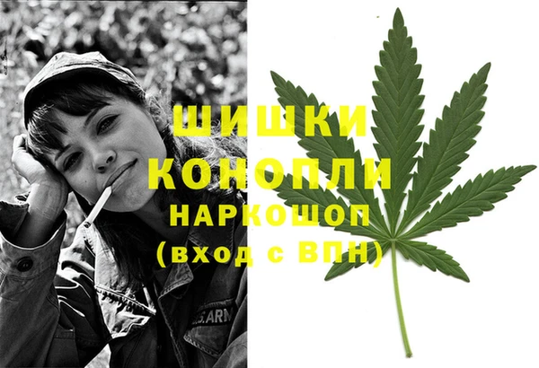 стаф Коряжма